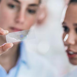 Laboratorios Bayer.